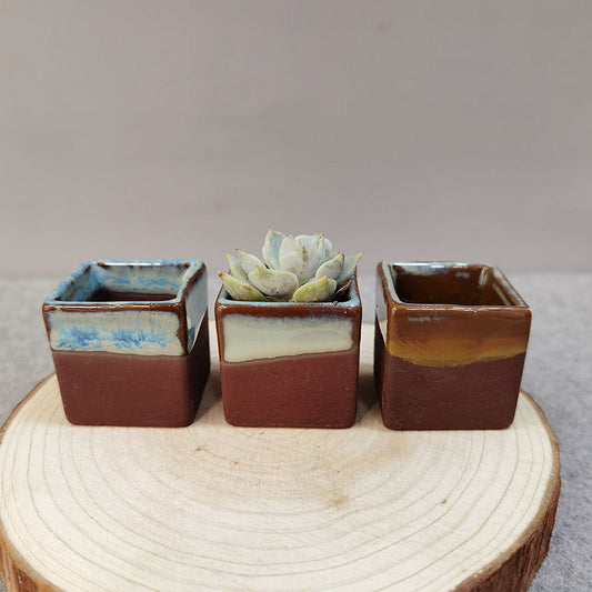 Square Desktop Succulent Pot — view 2