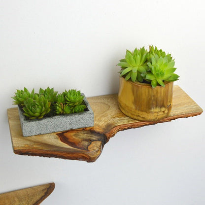 Solid Wood Wall Plant Shelf — view 5