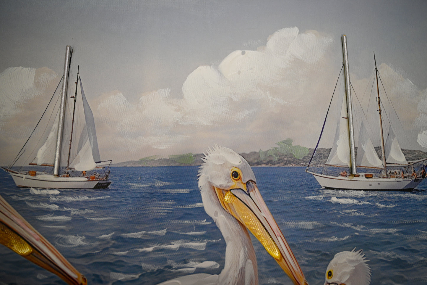 Coastal Seagull Canvas Print — view 2