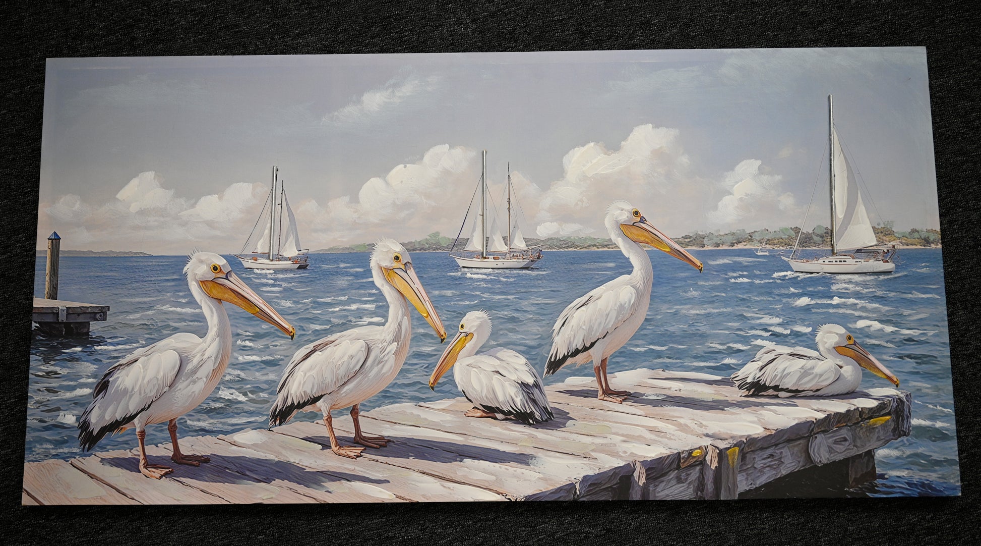 Coastal Seagull Canvas Print — view 5
